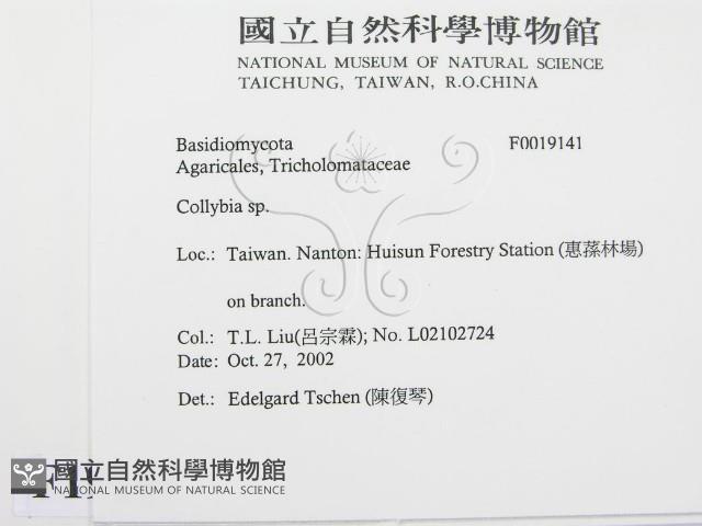 登錄號:F0019141藏品圖，第2張