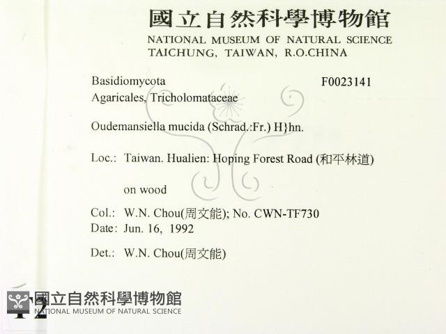 登錄號:F0023141藏品圖，第2張