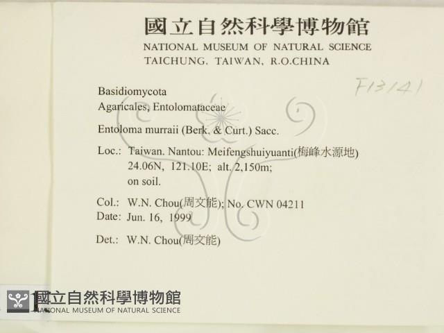登錄號:F0013141藏品圖，第2張
