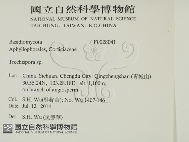 登錄號:F0028041藏品圖，第2張
