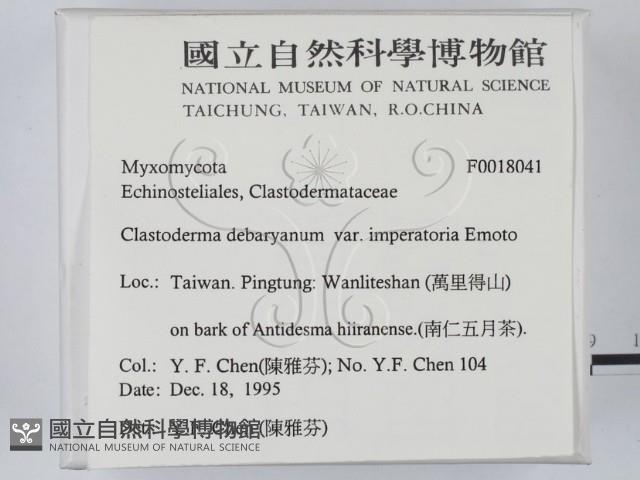 登錄號:F0018041藏品圖，第2張