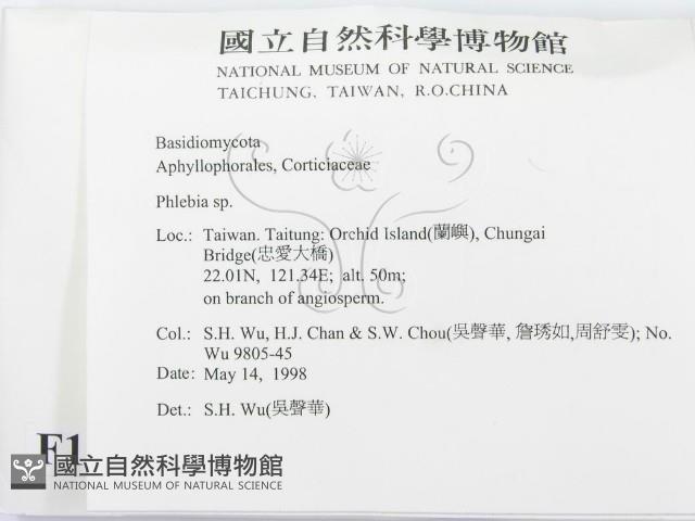 射脈菌屬藏品圖，第2張