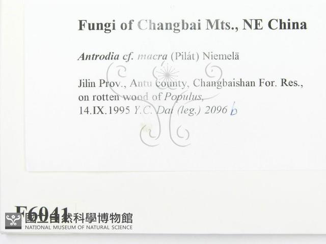 登錄號:F0006041藏品圖，第2張