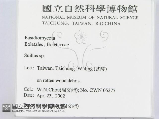 登錄號:F0016041藏品圖，第2張