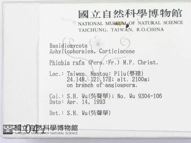 館號:F0001041藏品圖，第2張