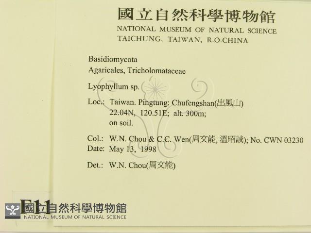 登錄號:F0011041藏品圖，第2張