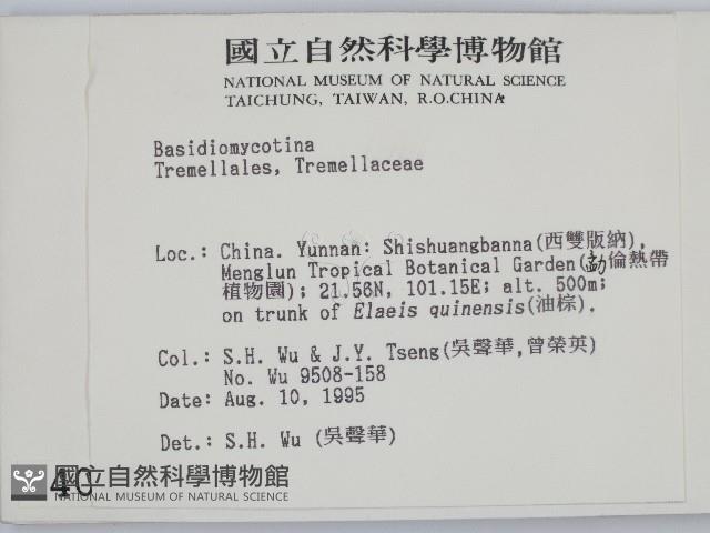 登錄號:F0004041藏品圖，第2張