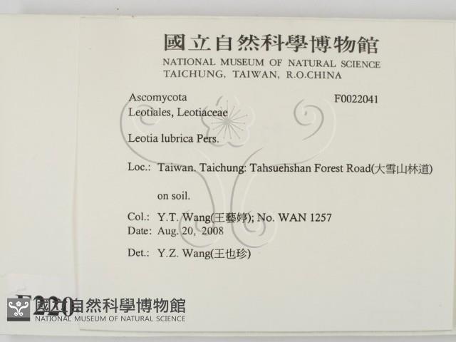 登錄號:F0022041藏品圖，第2張