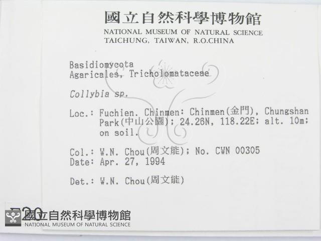 登錄號:F0002041藏品圖，第2張
