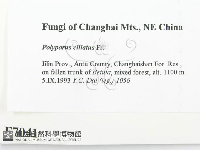 登錄號:F0007041藏品圖，第2張