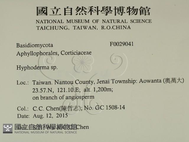 絲皮菌屬藏品圖，第2張