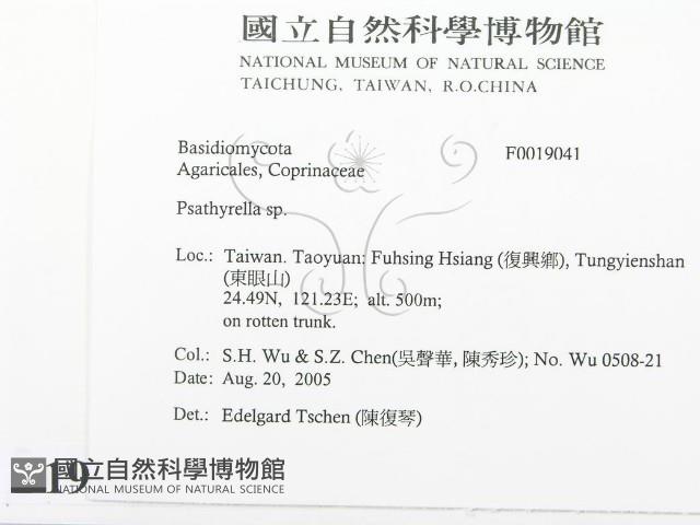登錄號:F0019041藏品圖，第2張