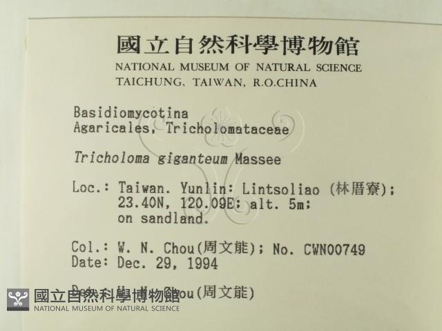 登錄號:F0003041藏品圖，第2張