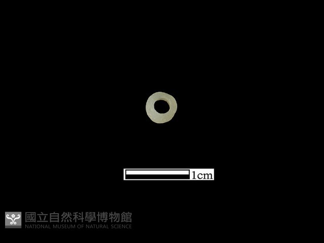 玻璃珠藏品圖，第2張