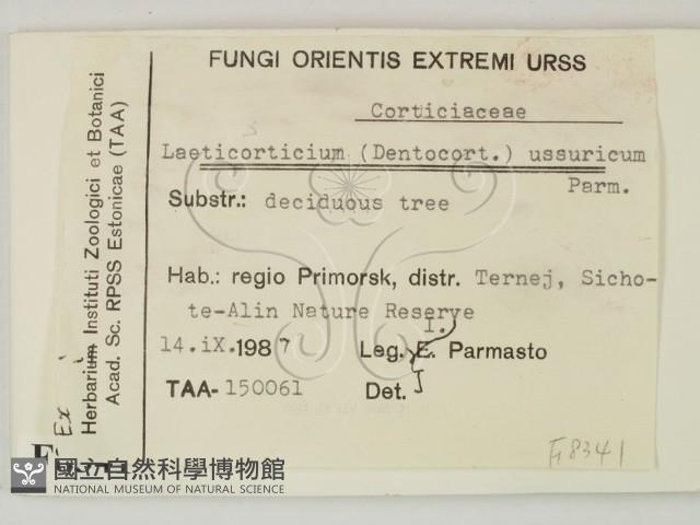 登錄號:F0008341藏品圖，第2張