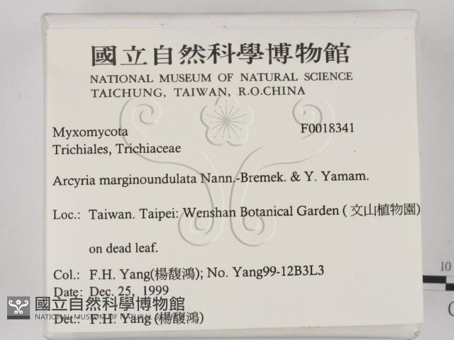 登錄號:F0018341藏品圖，第2張