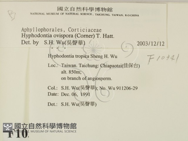 登錄號:F0010341藏品圖，第2張