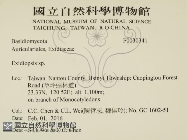 登錄號:F0030341藏品圖，第2張