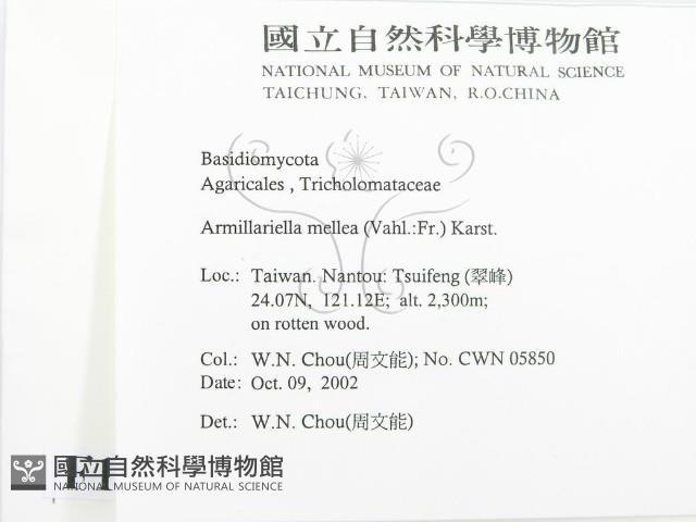 登錄號:F0016341藏品圖，第2張