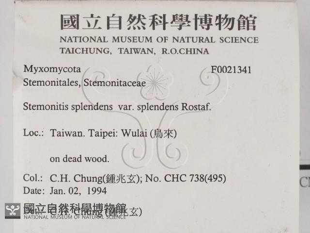 登錄號:F0021341藏品圖，第2張