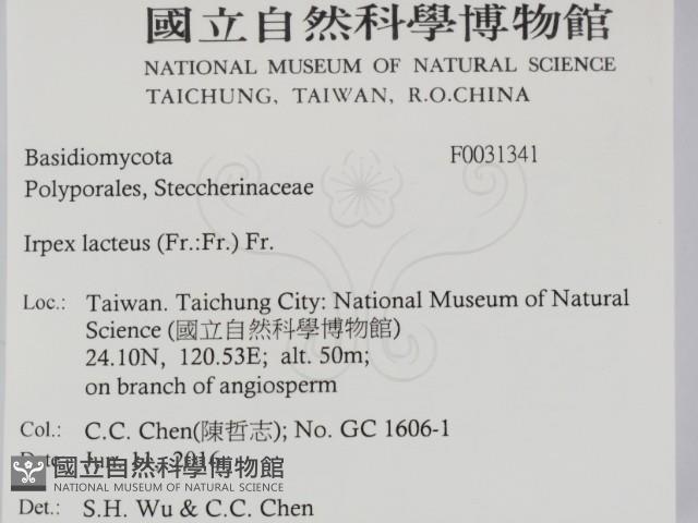 登錄號:F0031341藏品圖，第2張