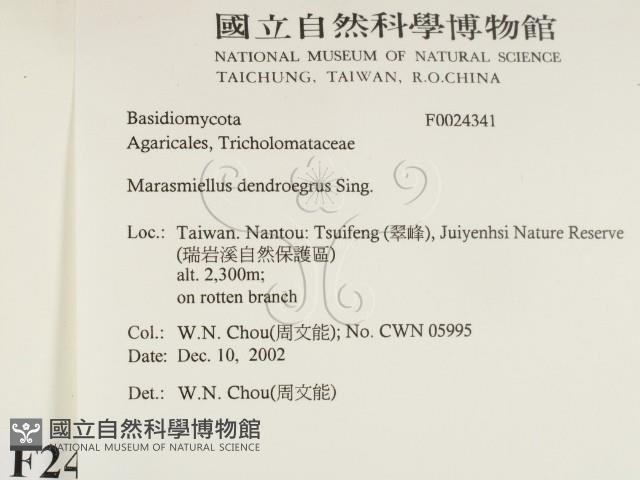 登錄號:F0024341藏品圖，第2張