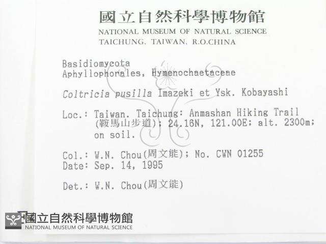 登錄號:F0004341藏品圖，第2張