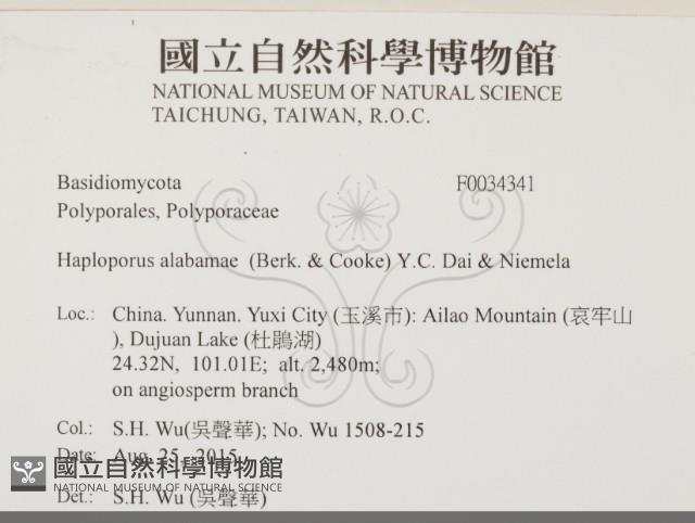 登錄號:F0034341藏品圖，第2張