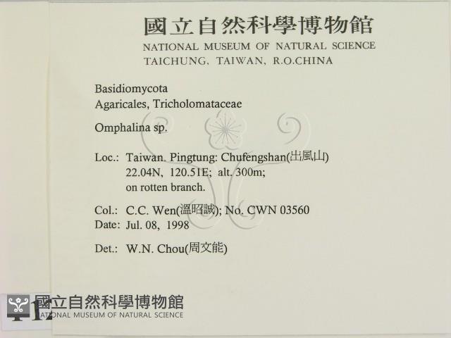 登錄號:F0012341藏品圖，第2張