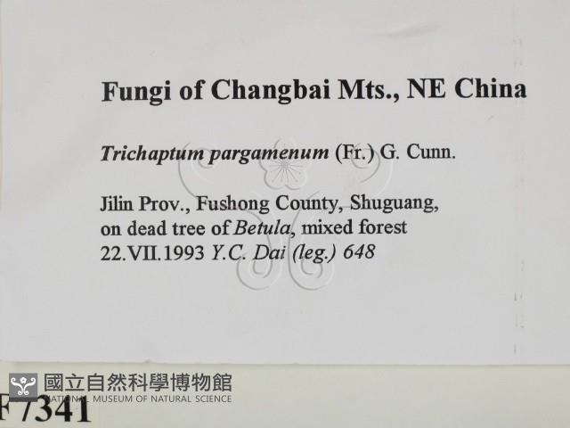 登錄號:F0007341藏品圖，第2張