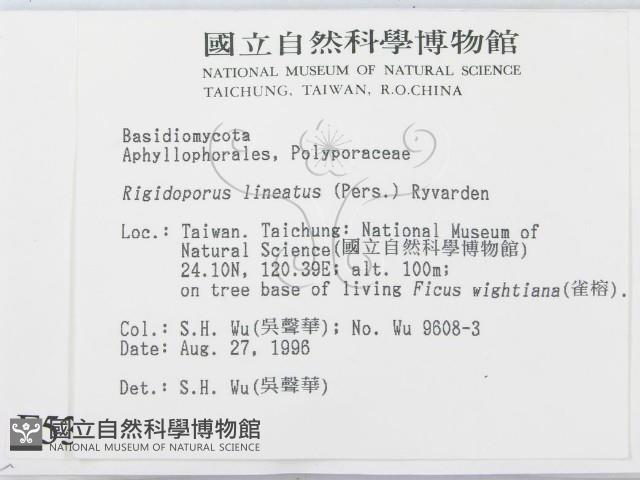 登錄號:F0005341藏品圖，第2張