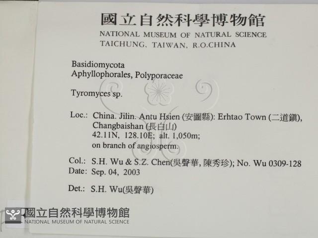 登錄號:F0015341藏品圖，第2張