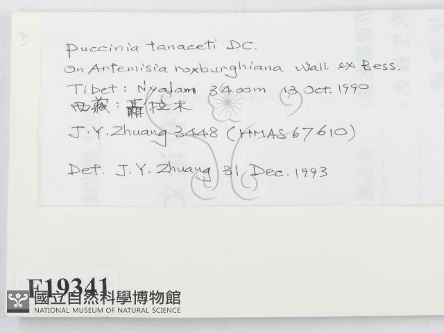 登錄號:F0019341藏品圖，第2張