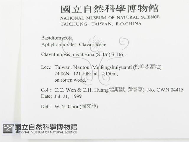 登錄號:F0013341藏品圖，第2張