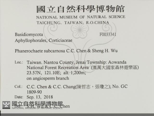 登錄號:F0033341藏品圖，第2張