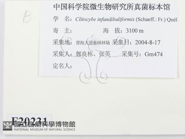 登錄號:F0020231藏品圖，第2張
