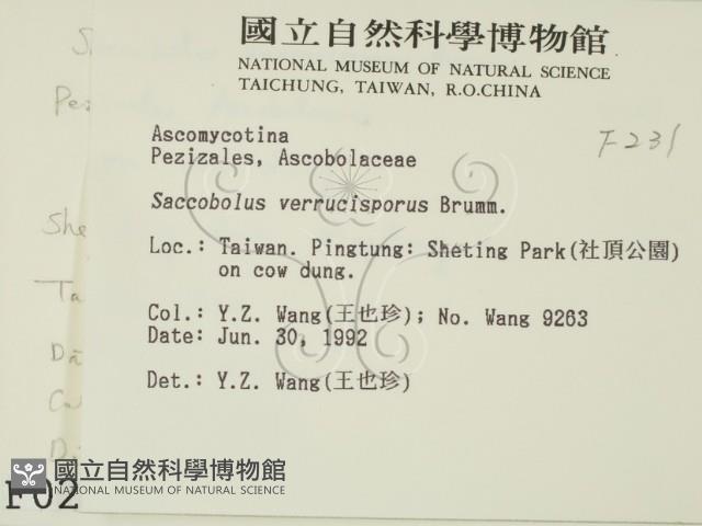 登錄號:F0000231藏品圖，第2張