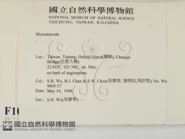 登錄號:F0010231藏品圖，第2張