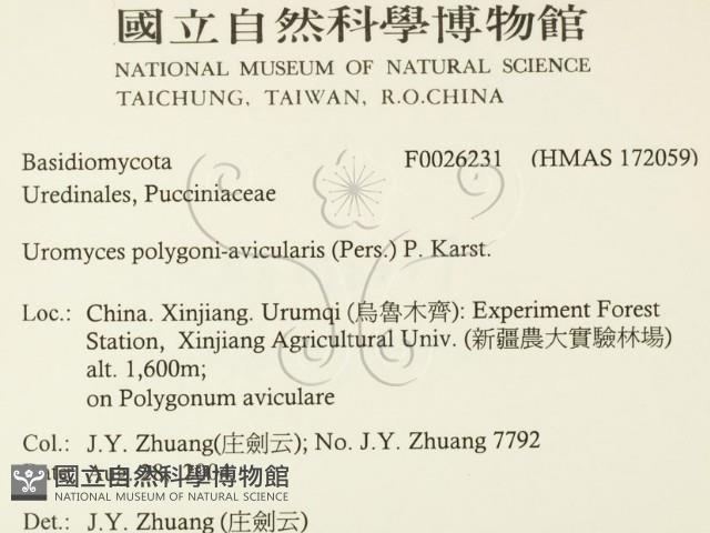 登錄號:F0026231藏品圖，第2張