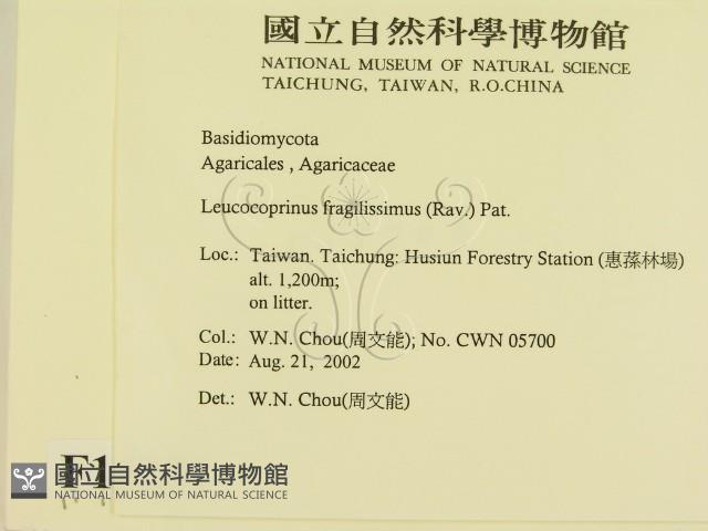 登錄號:F0016231藏品圖，第2張