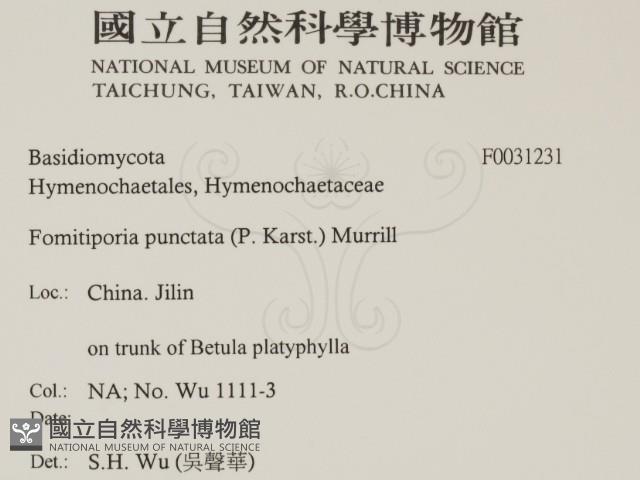 登錄號:F0031231藏品圖，第2張