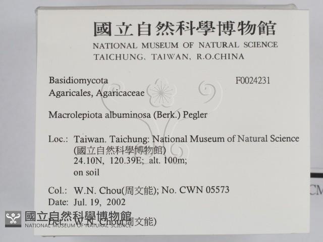 登錄號:F0024231藏品圖，第2張