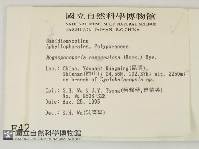 登錄號:F0004231藏品圖，第2張