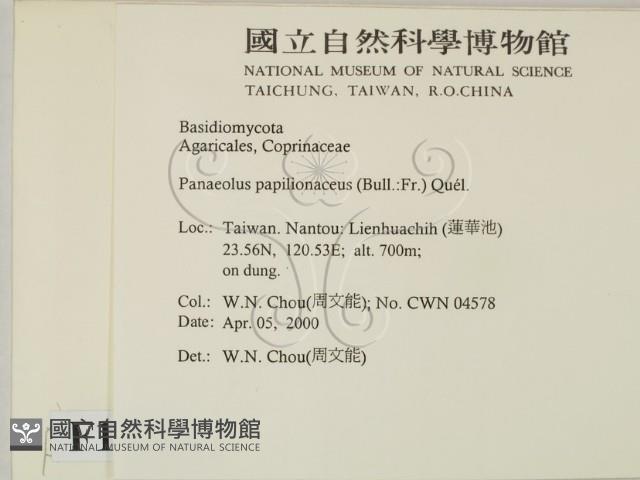 登錄號:F0014231藏品圖，第2張