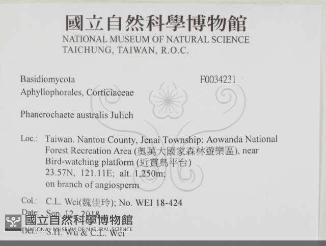 登錄號:F0034231藏品圖，第2張