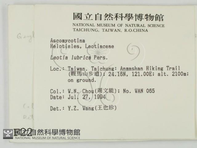 登錄號:F0002231藏品圖，第2張