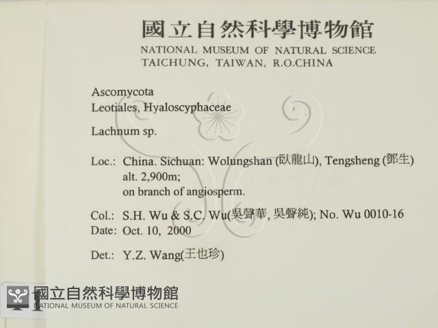 登錄號:F0012231藏品圖，第2張