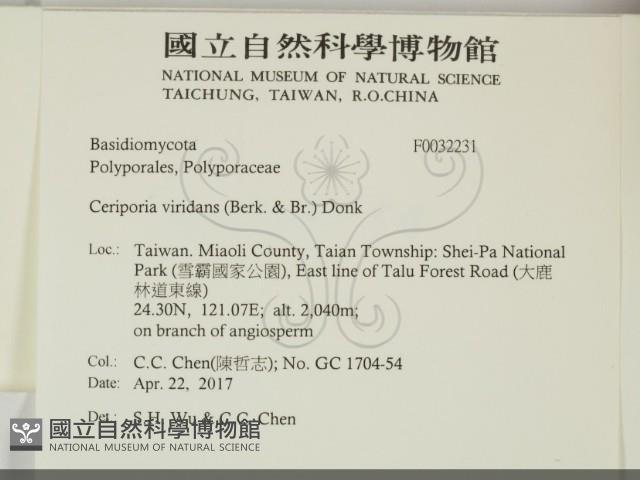 登錄號:F0032231藏品圖，第2張