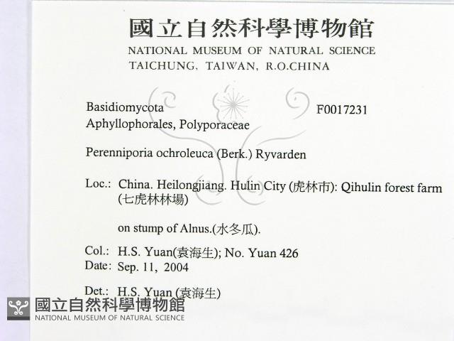 登錄號:F0017231藏品圖，第2張