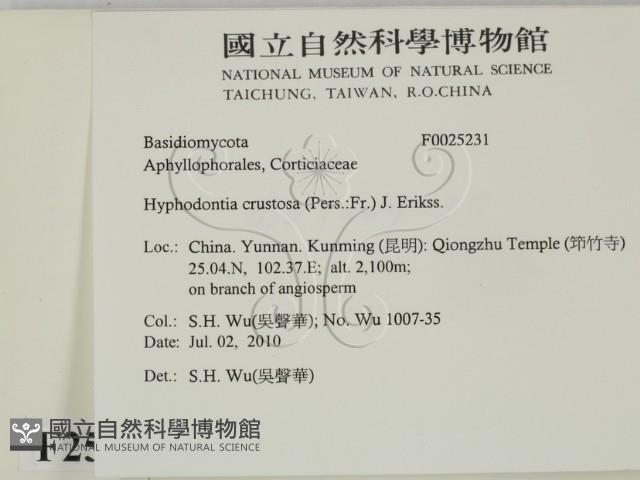 登錄號:F0025231藏品圖，第2張